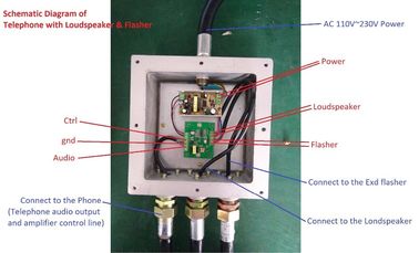 Customized Mining And Tunnel Use Telephone Explosion Proof In Harsh Environment